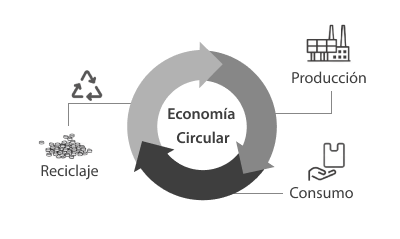 Optimizando la Producción de Plástico mediante la Economía Circular